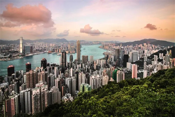 香港专才移民费用标准是多少