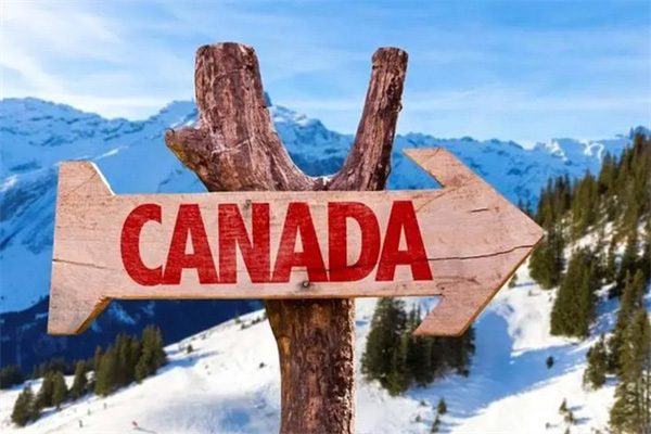 加拿大移民打通留学创业之路 加拿大移民打通留学创业之路