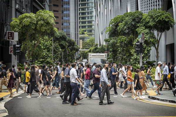 哪方面的技术容易移民新加坡