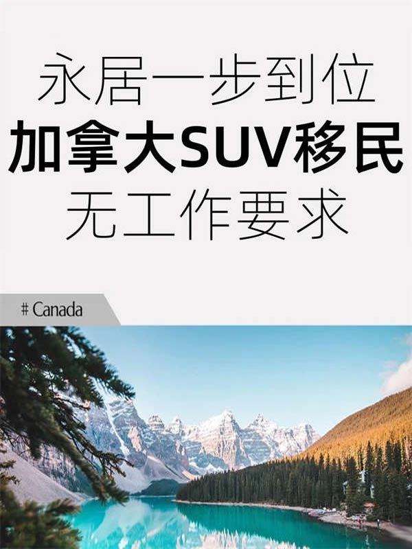 终于有人说清加拿大SUV移民是什么