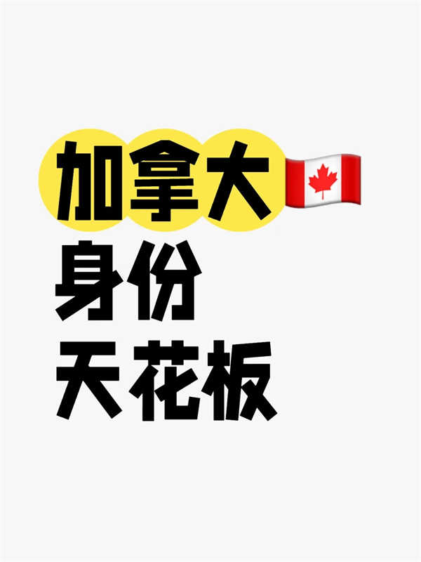 加拿大身份！这4种待遇差别居然那么大！