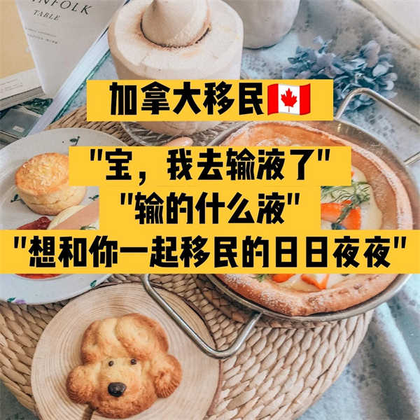 最适合加拿大技术移民的四大工作岗位