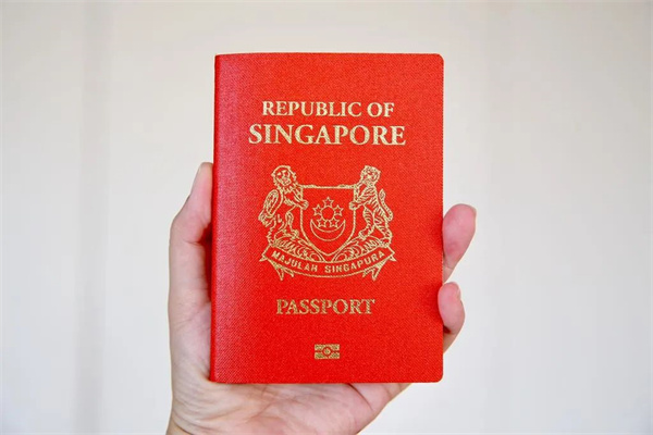超高性价比拿新加坡身份方式：新加坡自雇EP