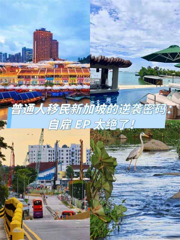 普通人移民新加坡的逆袭密码! 普通人移民新加坡的逆袭密码!