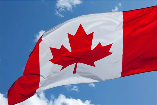 加拿大SUV移民,哪些项目更容易拿到批复? 加拿大SUV移民,哪些项目更容易拿到批复?