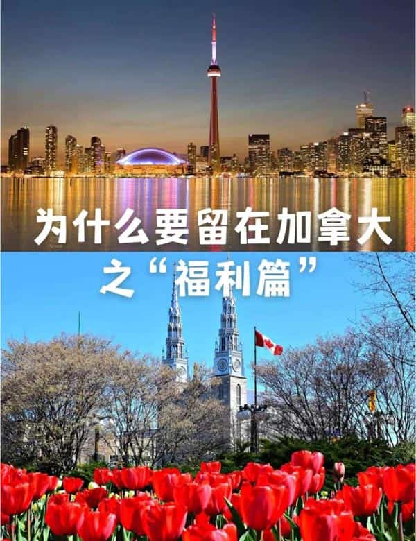 为什么要留在加拿大之“福利篇” 为什么要留在加拿大之“福利篇”