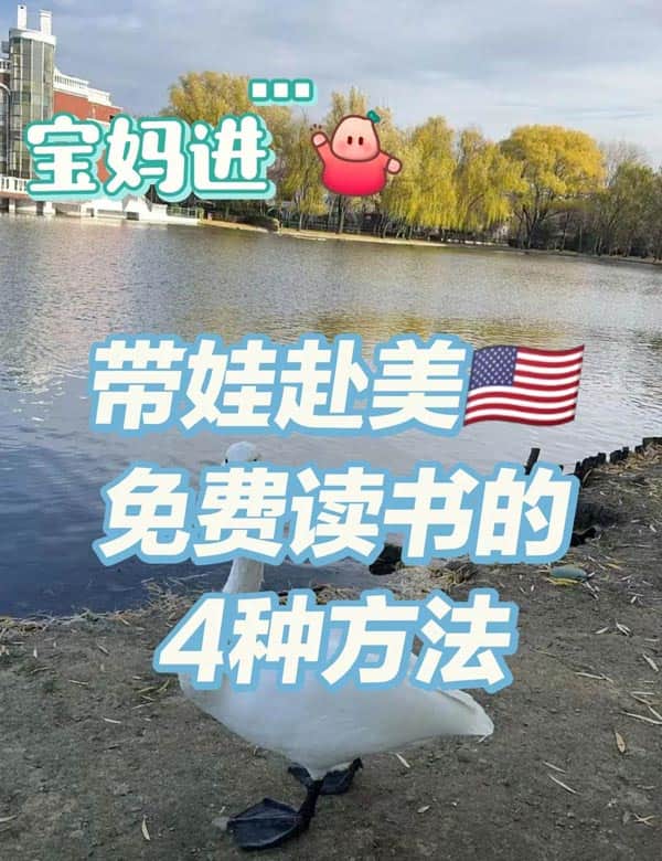 宝妈进!带娃赴美免费读书的4种方法 宝妈进!带娃赴美免费读书的4种方法
