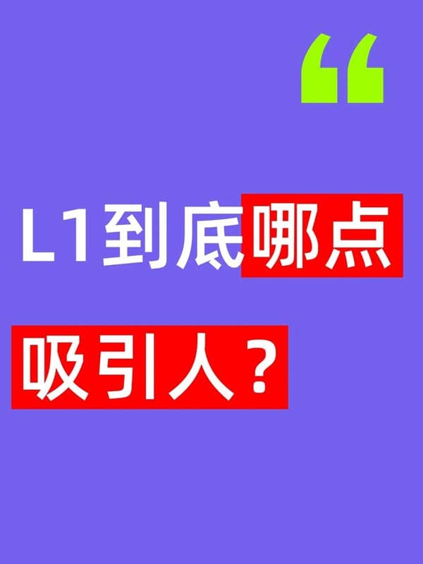 美国L1签证到底哪点吸引人? 美国L1签证到底哪点吸引人?
